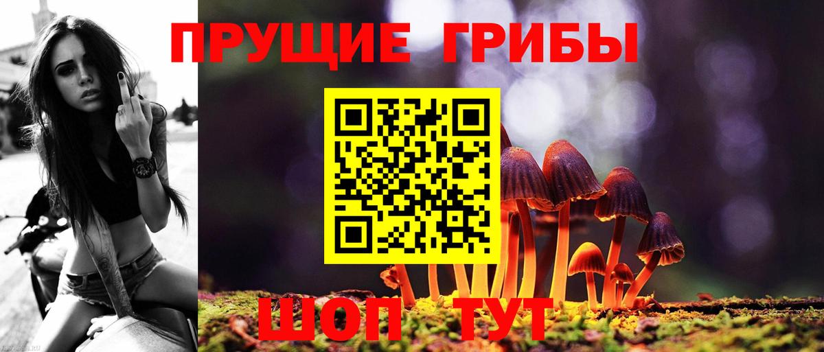 Псилоцибиновые грибы мухоморы Донской